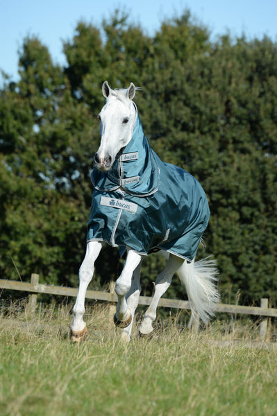 Bucas Atlantic Turnout Blanket 50g
