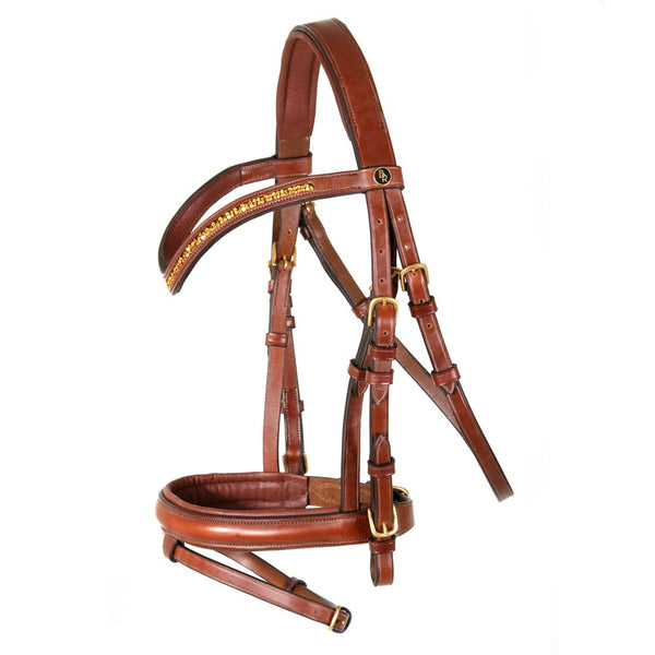 BR Croydon Bridle, TRUSTORI