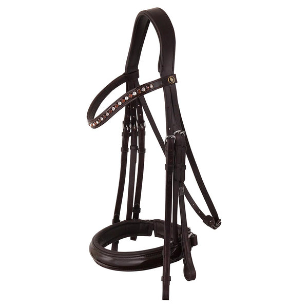 BR Wendover Weymouth Bridle