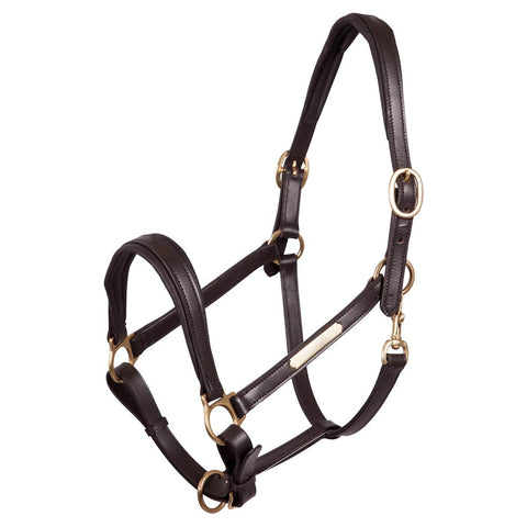 Premiere Leather Halter - Brass, TRUSTORI