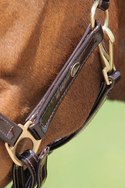 Premiera Accadia Halter - Brown/Gold