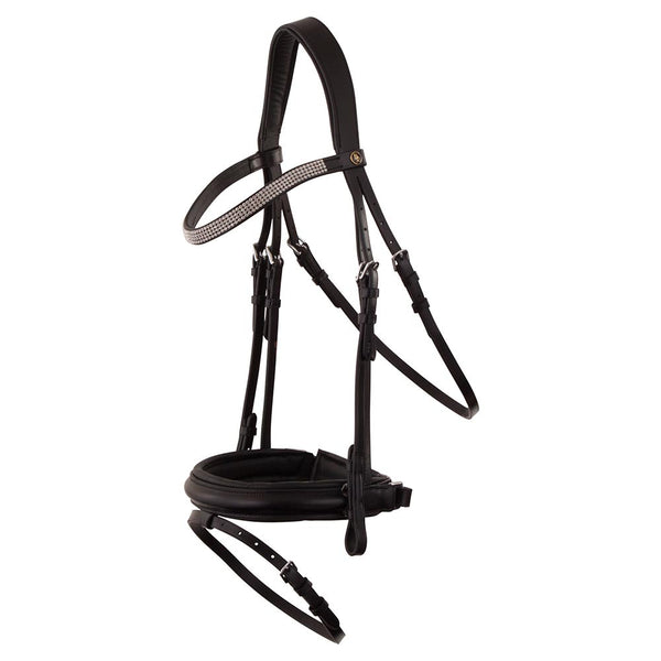 BR Adlington Bridle, TRUSTORI