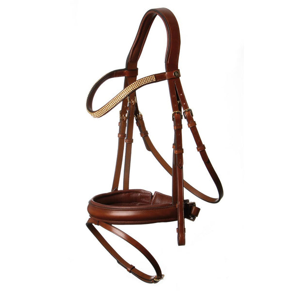 BR Adlington Bridle, TRUSTORI