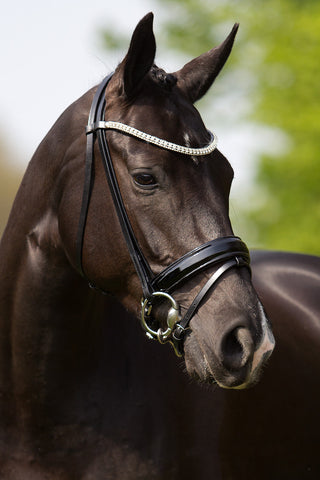 Premiera Athena Bridle - Black/Silver
