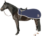 BR Kidney Exercise Sheet Event *, TRUSTORI