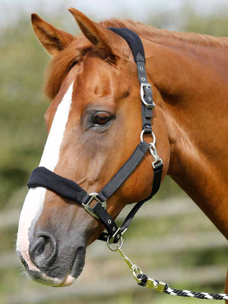 Premier Equine - Padded Fleece Halter - Horse