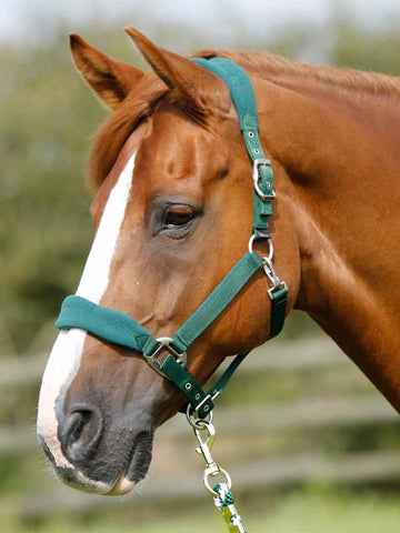 Premier Equine - Padded Fleece Halter - Horse