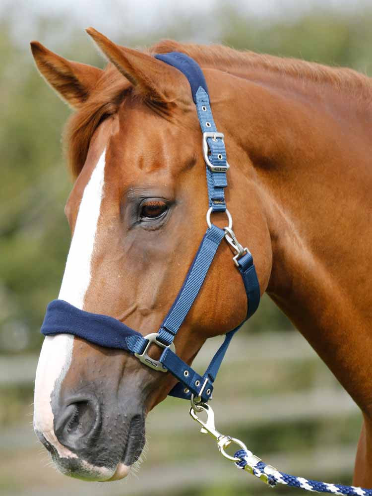 Horse Padded Headcollar With Fur Fleece Lining | Adjustable Nylon Halter & Lead Rope | Best On Horse Brand