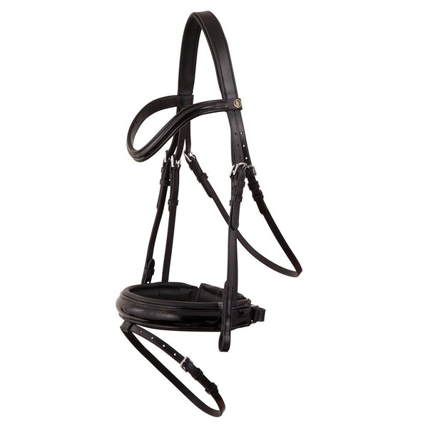 BR Kingston Bridle, TRUSTORI