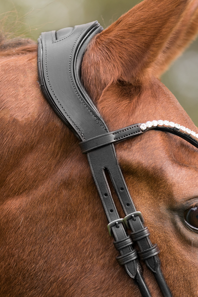 Premiera Latina Anatomical Bridle - Black/White/Silver