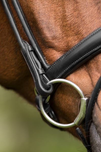 Premiera Latina Anatomical Bridle - Black/White/Silver