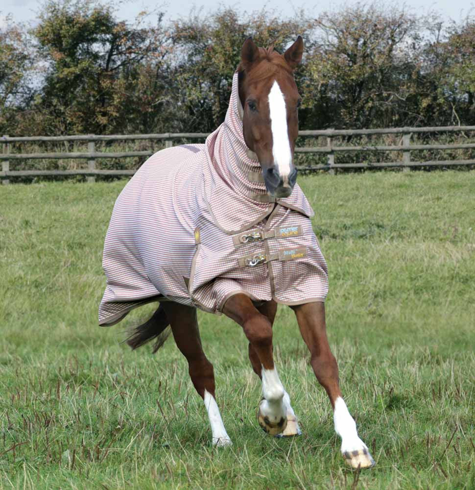 Couverture Anti-Mouches pour Cheval avec Rabat ventral Couverture Anti-Mouches pour Cheval avec Rabat ventral