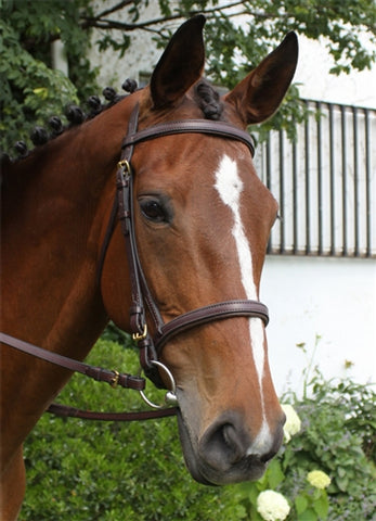 Nunn Finer -  Event Bridle w/Reins