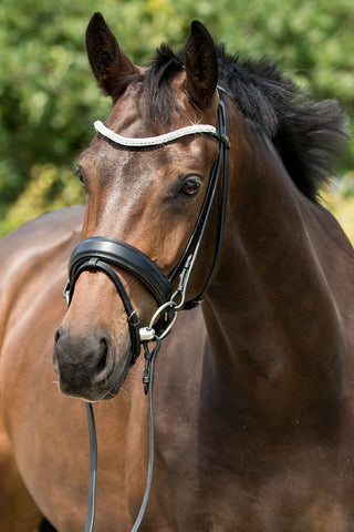 Premiera Valentia Bridle - Black/Silver