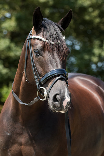 Premiera Athena Bridle - Black/Silver
