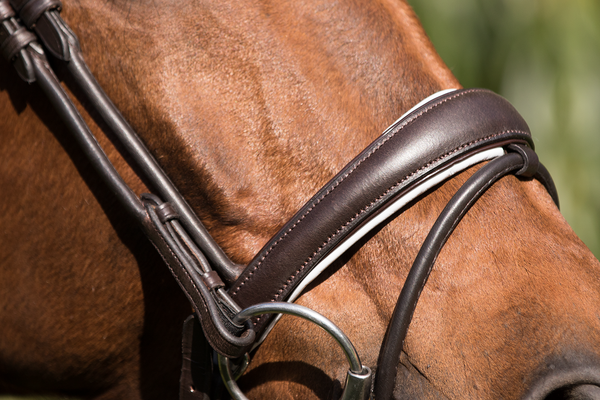 Premiera Latina Anatomical Bridle - Brown/White/Silver