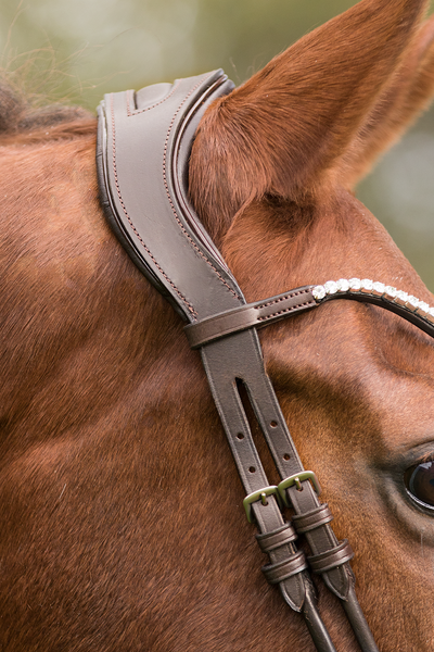 Premiera Latina Anatomical Bridle - Brown/White/Silver