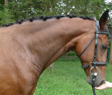 Braideez - Braiding Wire - 32"