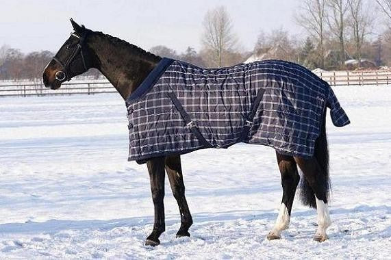 QHP Check Quilted Liner/Travel Blanket  with Fleece Collar - 150grams