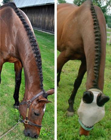 Braideez - Braiding Wire - 64"